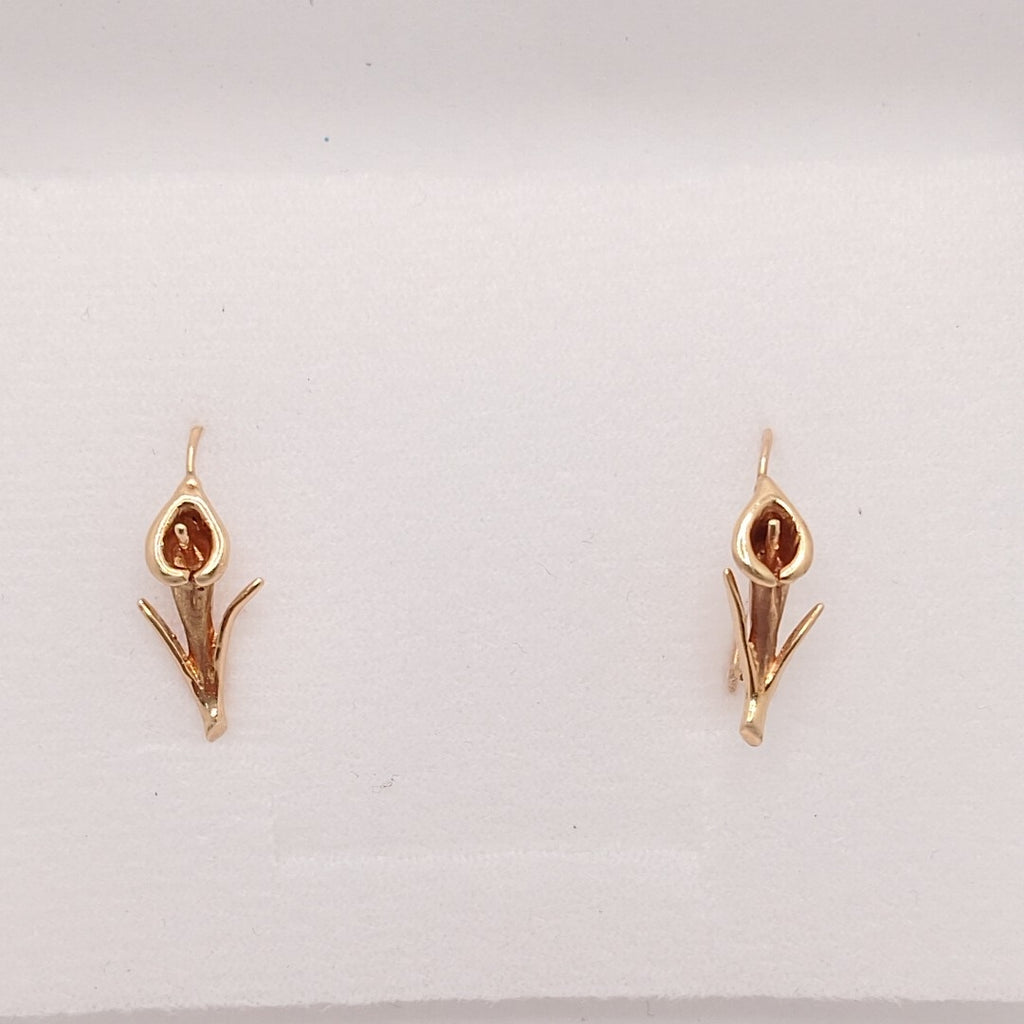 ARETES PAR ORO 14 K 2,00 GRMS (SEMINUEVO)