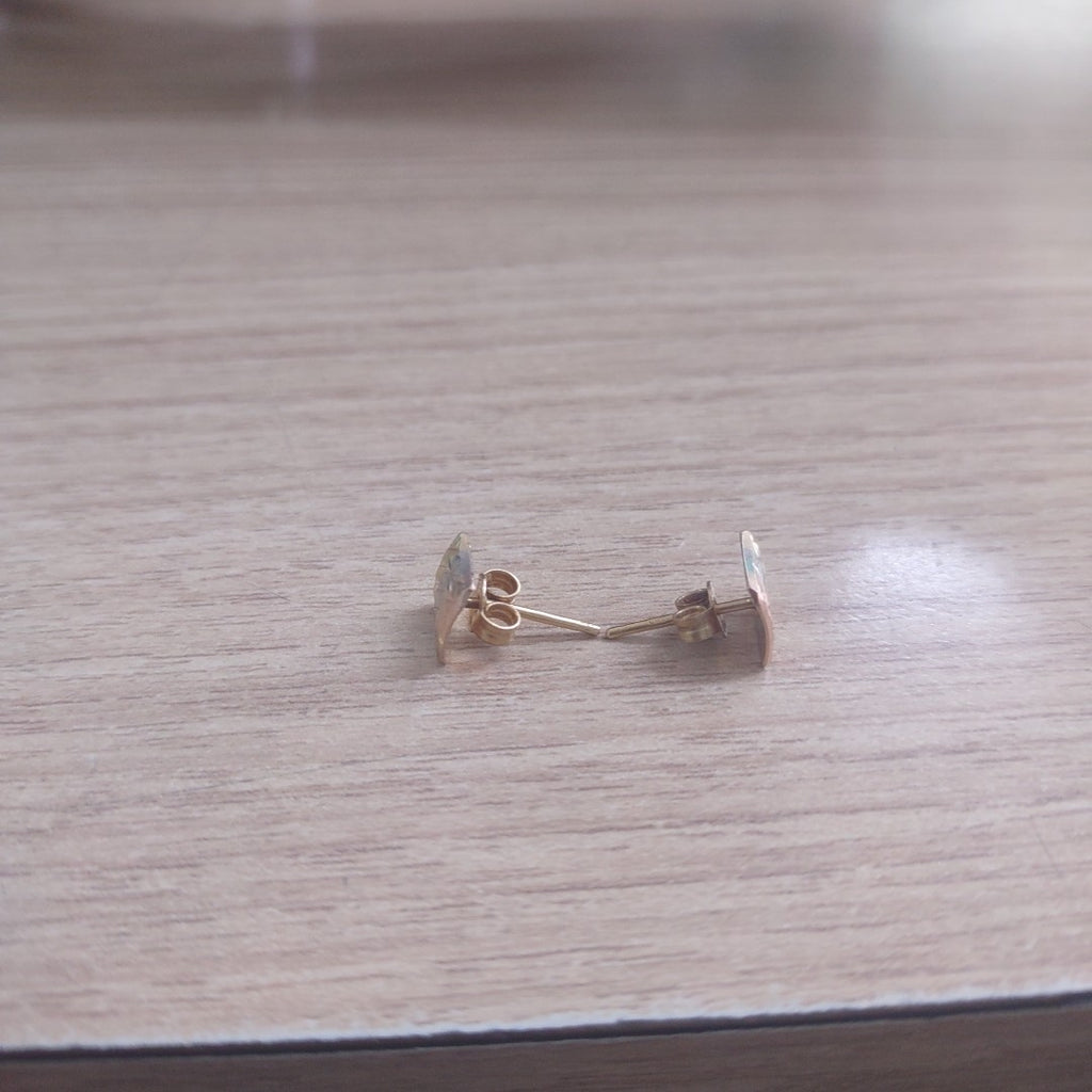 ARETES PAR ORO 10 K 1.9 GRMS (SEMINUEVO)