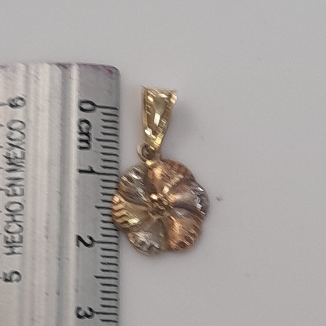 DIJE ORO COMBINADO 10 K 0,80 GRMS (SEMINUEVO)