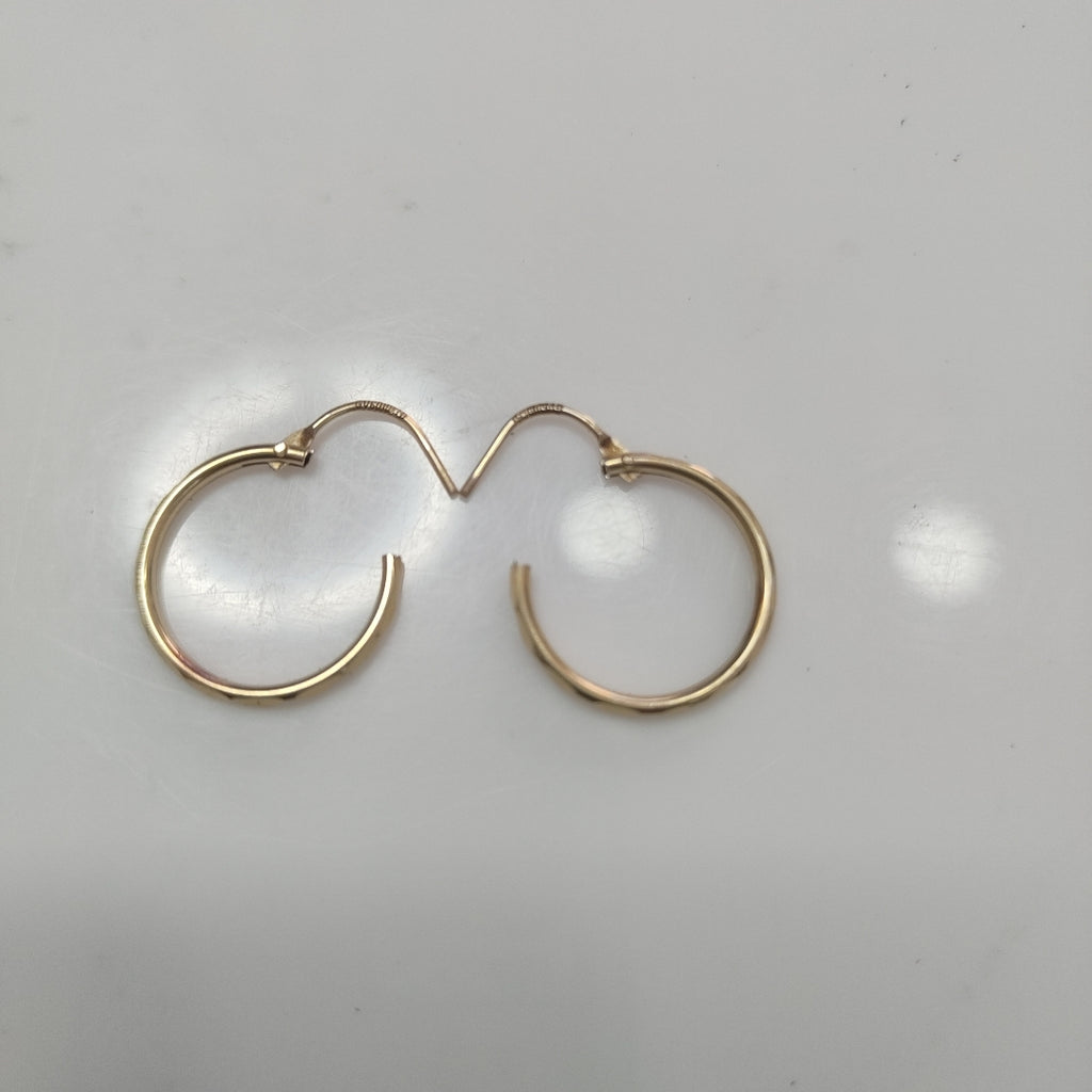 ARETES PAR ORO 10 K 1.1 GRMS (SEMINUEVO)