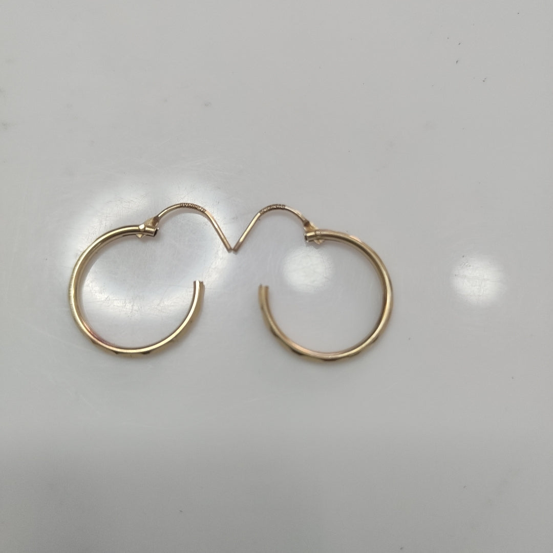 ARETES PAR ORO 10 K 1.1 GRMS (SEMINUEVO)