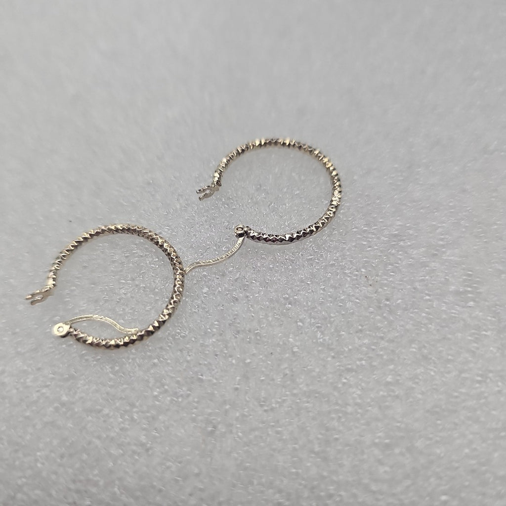 ARETES PAR PLATA 12.3 GRMS (SEMINUEVO)