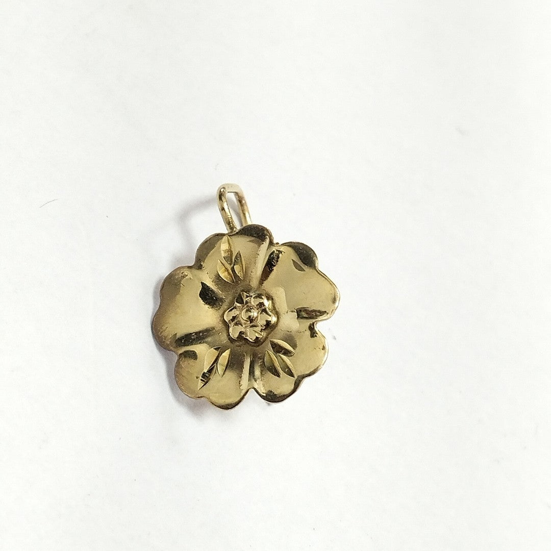 ARETES PAR ORO 10 K 1.8 GRMS (SEMINUEVO)