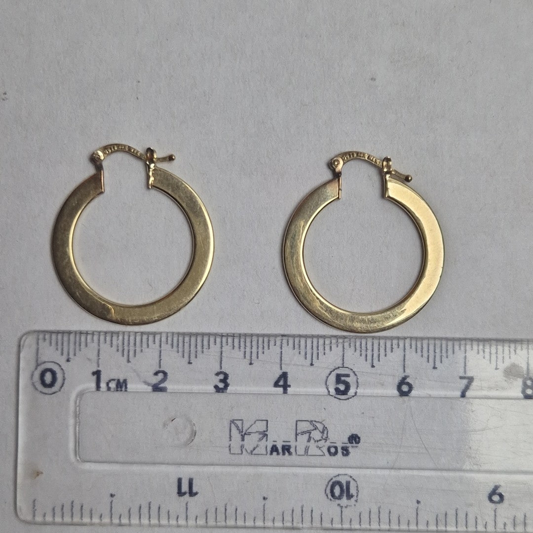 ARRACADAS PAR ORO 10 K 2.3 GRMS (SEMINUEVO)