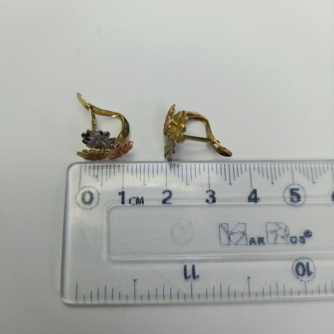 ARETES PAR ORO 14 K 2,10 GRMS (SEMINUEVO)