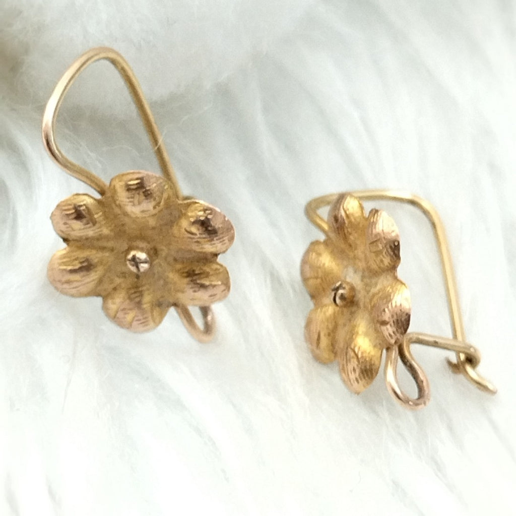 ARETES PAR ORO 10 K 1 GRMS (SEMINUEVO)