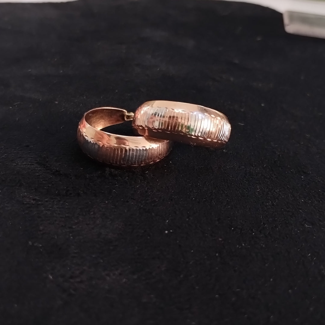 ARETES PAR ORO 10 K 3,40 GRMS (SEMINUEVO)