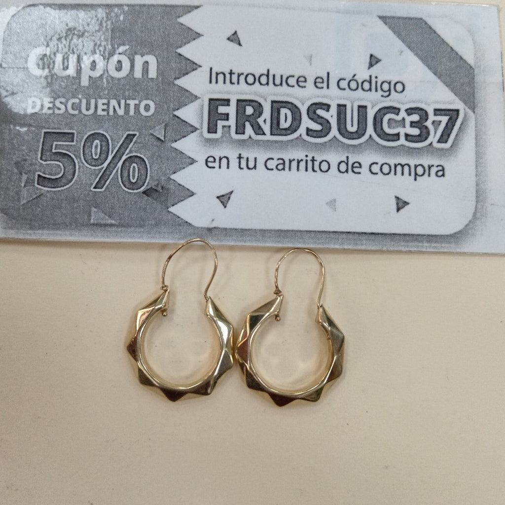 ARRACADAS PAR ORO 10 K 2.1 GRMS (SEMINUEVO)