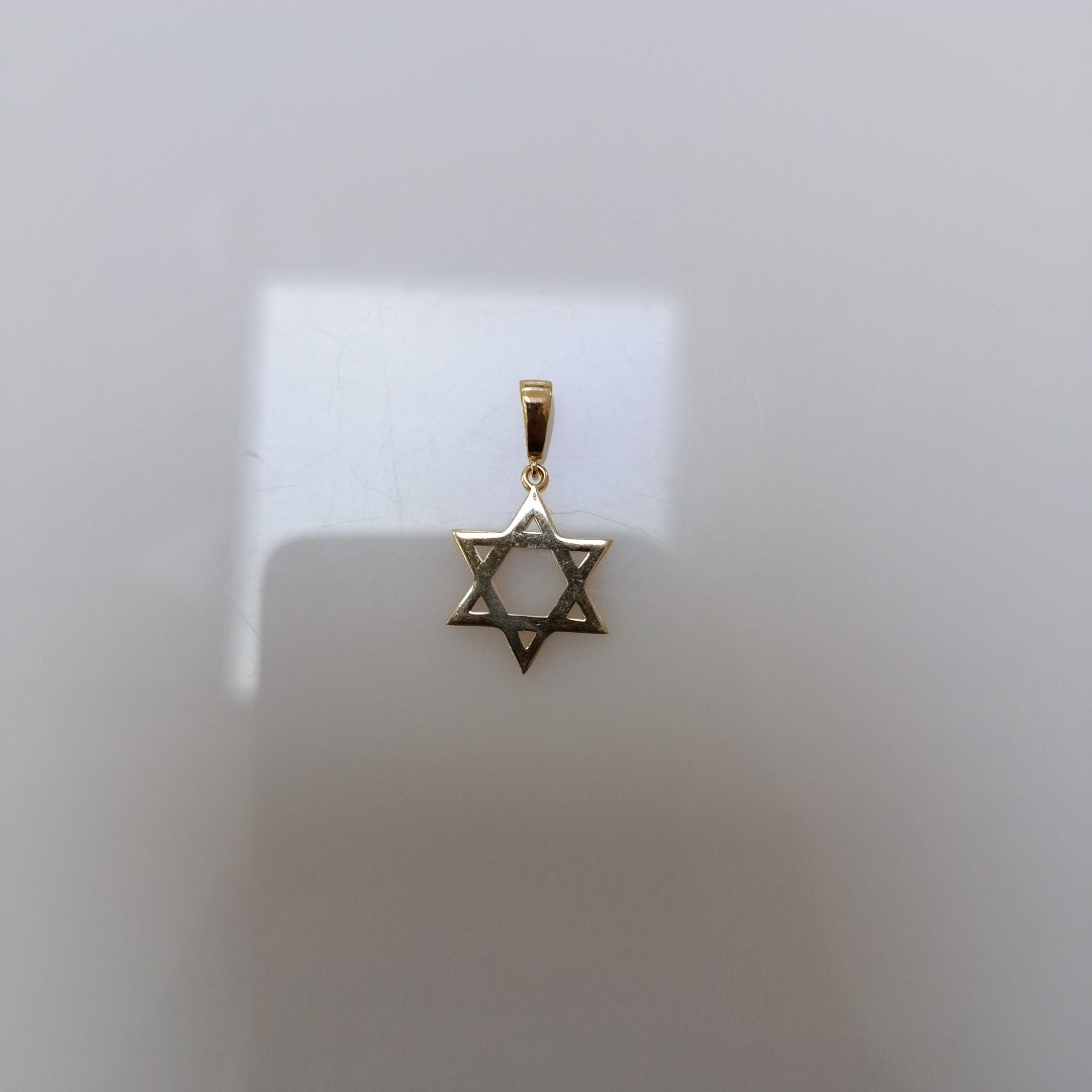 DIJES ORO 14K 1.2 (NUEVO)