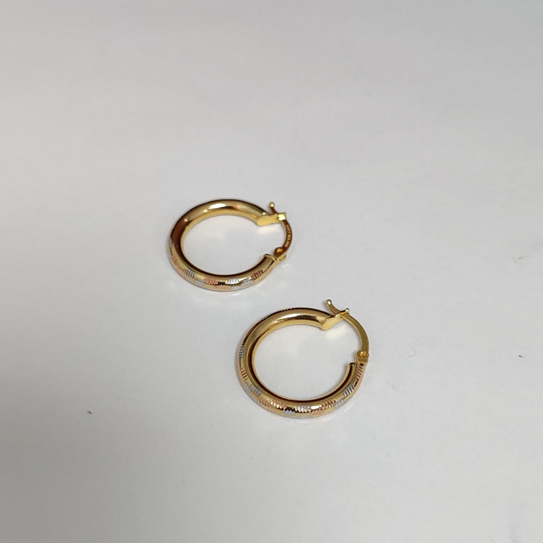 ARRACADAS ORO 14K 2 (NUEVO)