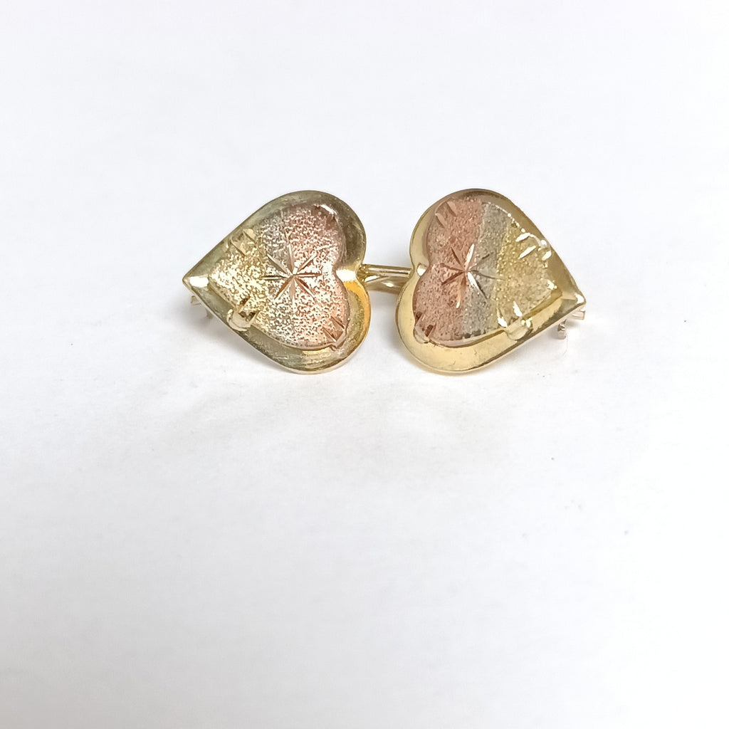 ARETES PAR ORO 10 K 1.3 GRMS (SEMINUEVO)