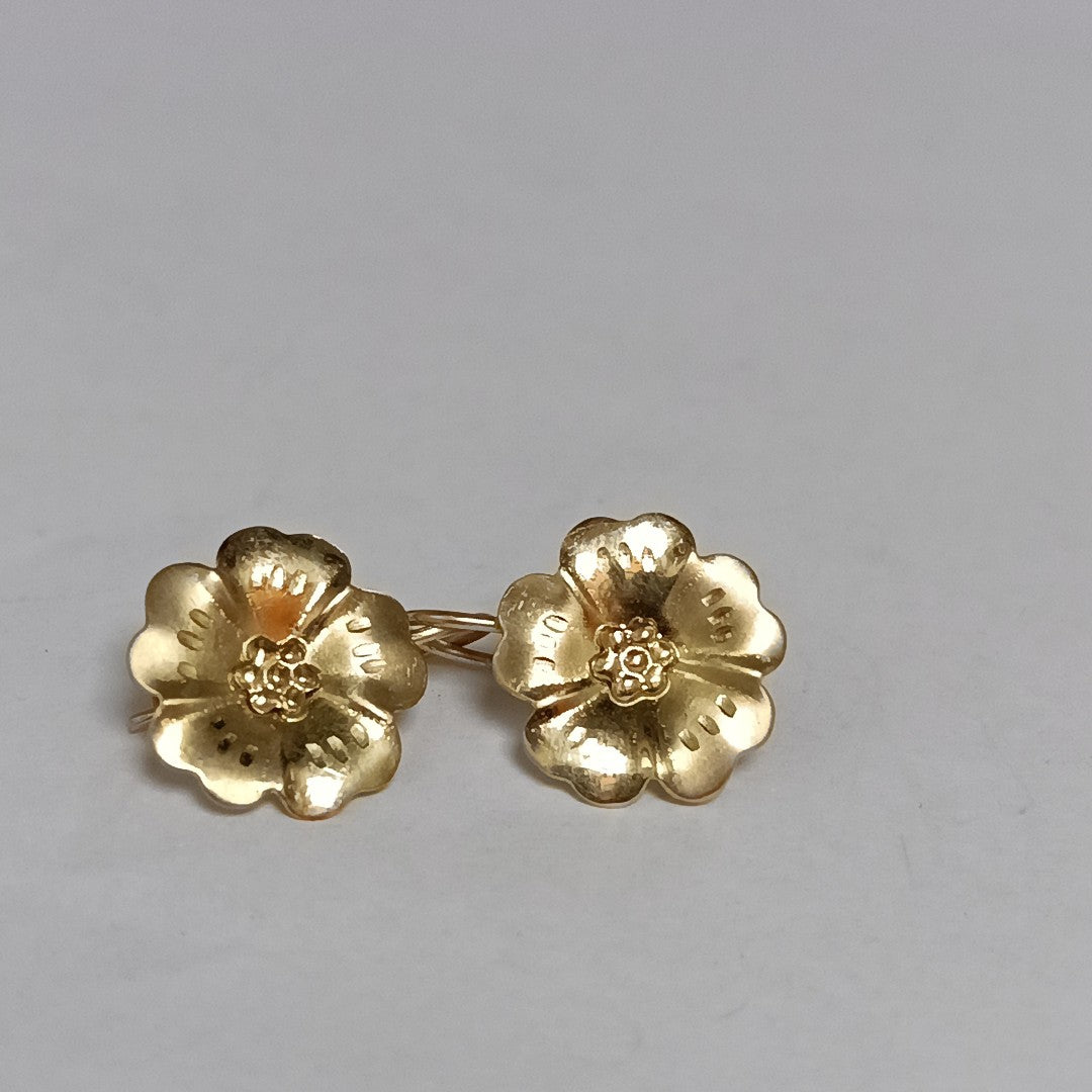ARETES PAR ORO 10 K 1.7 GRMS (SEMINUEVO)