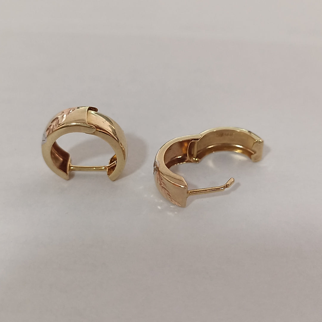 ARRACADAS PAR ORO, ORO COMBINADO 14 K 1.3 GRMS (SEMINUEVO)