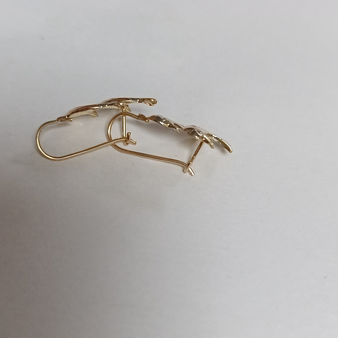 ARETES PAR ORO 10 K 1.1 GRMS (SEMINUEVO)
