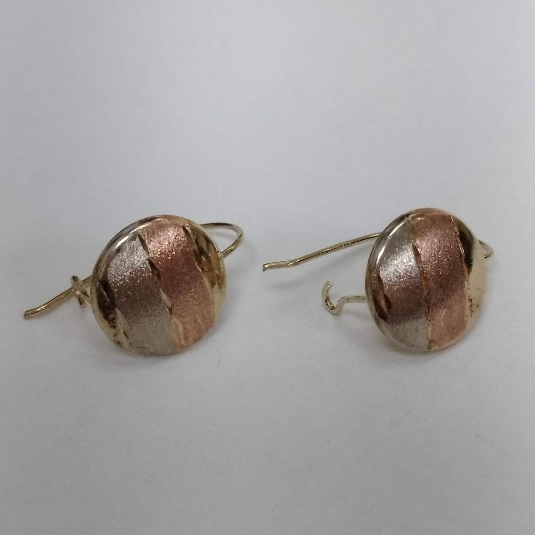 ARETES PAR ORO 10 K 1 GRMS (SEMINUEVO)