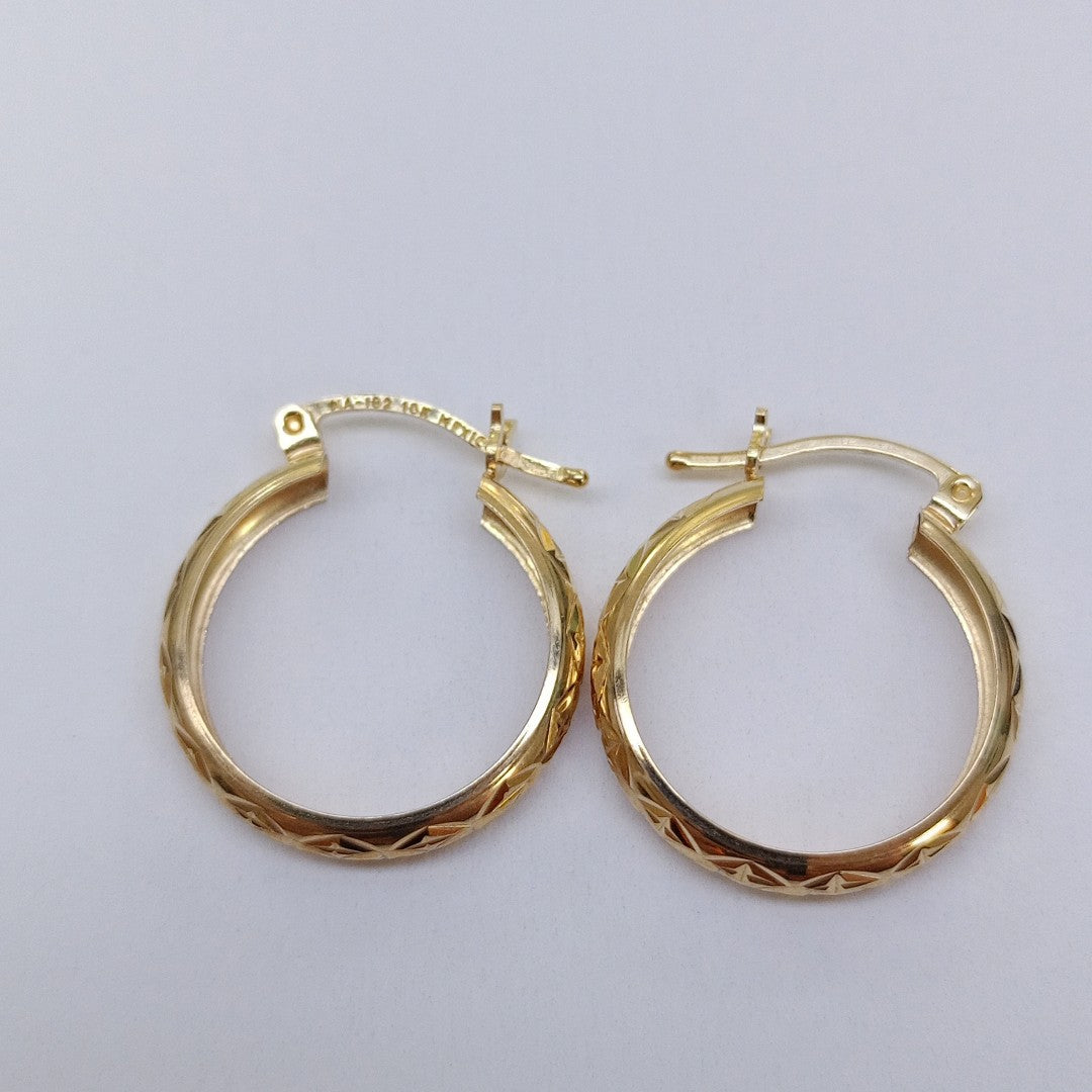 ARRACADAS PAR ORO 10 K 1.7 GRMS (SEMINUEVO)