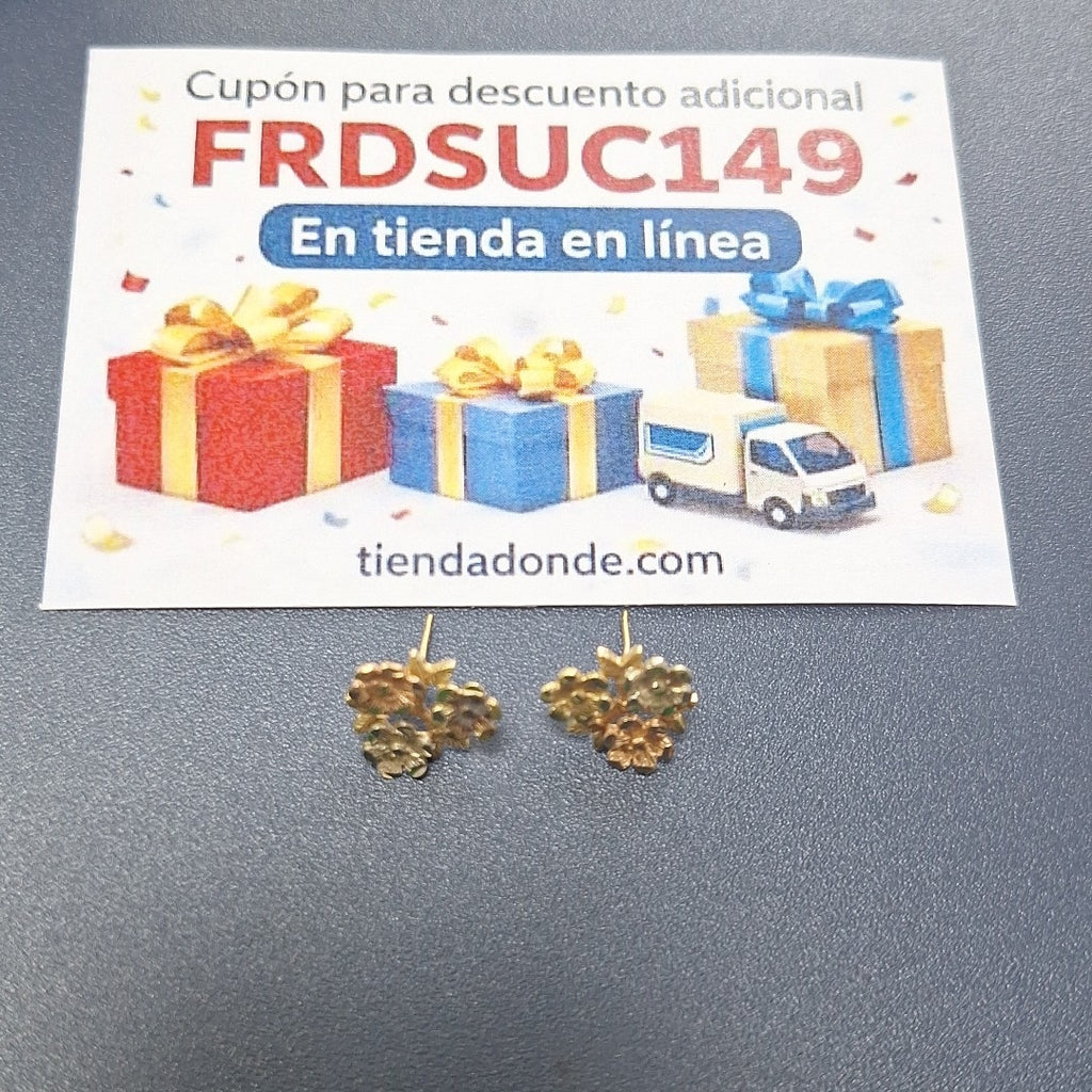 ARETES PAR ORO 10 K 2,90 GRMS (SEMINUEVO)