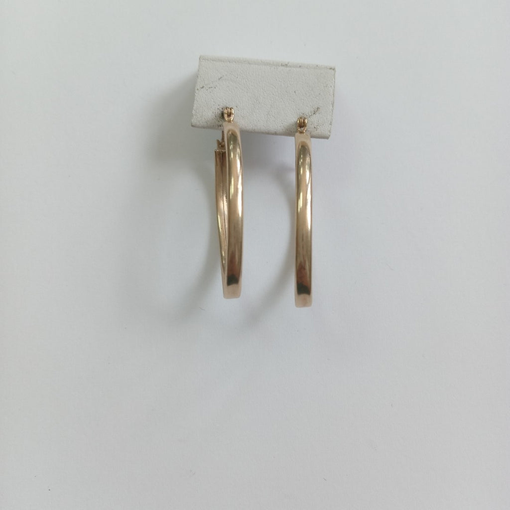 ARRACADAS PAR ORO 10 K 4.3 GRMS (SEMINUEVO)