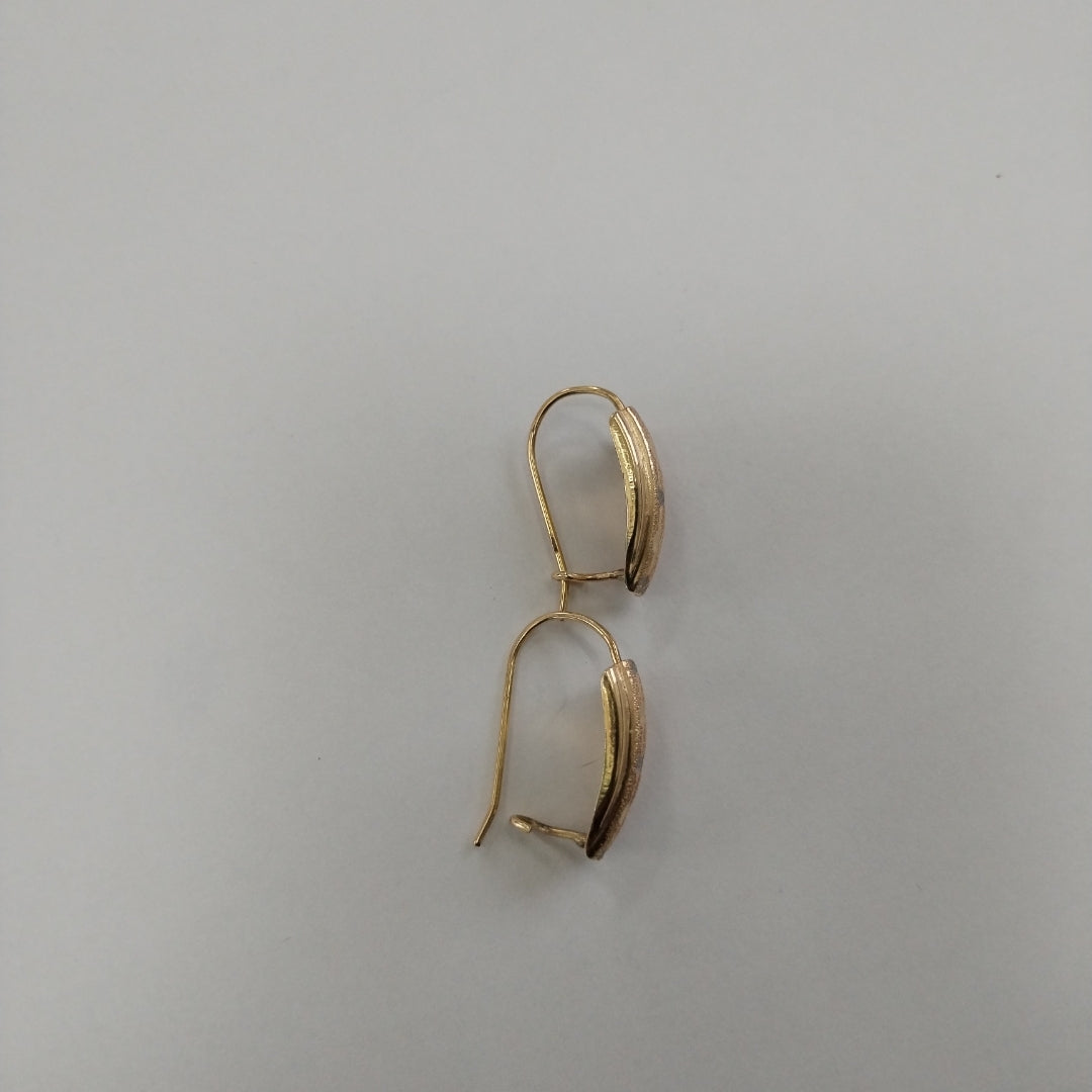 ARETES PAR ORO 14 K 3 GRMS (SEMINUEVO)
