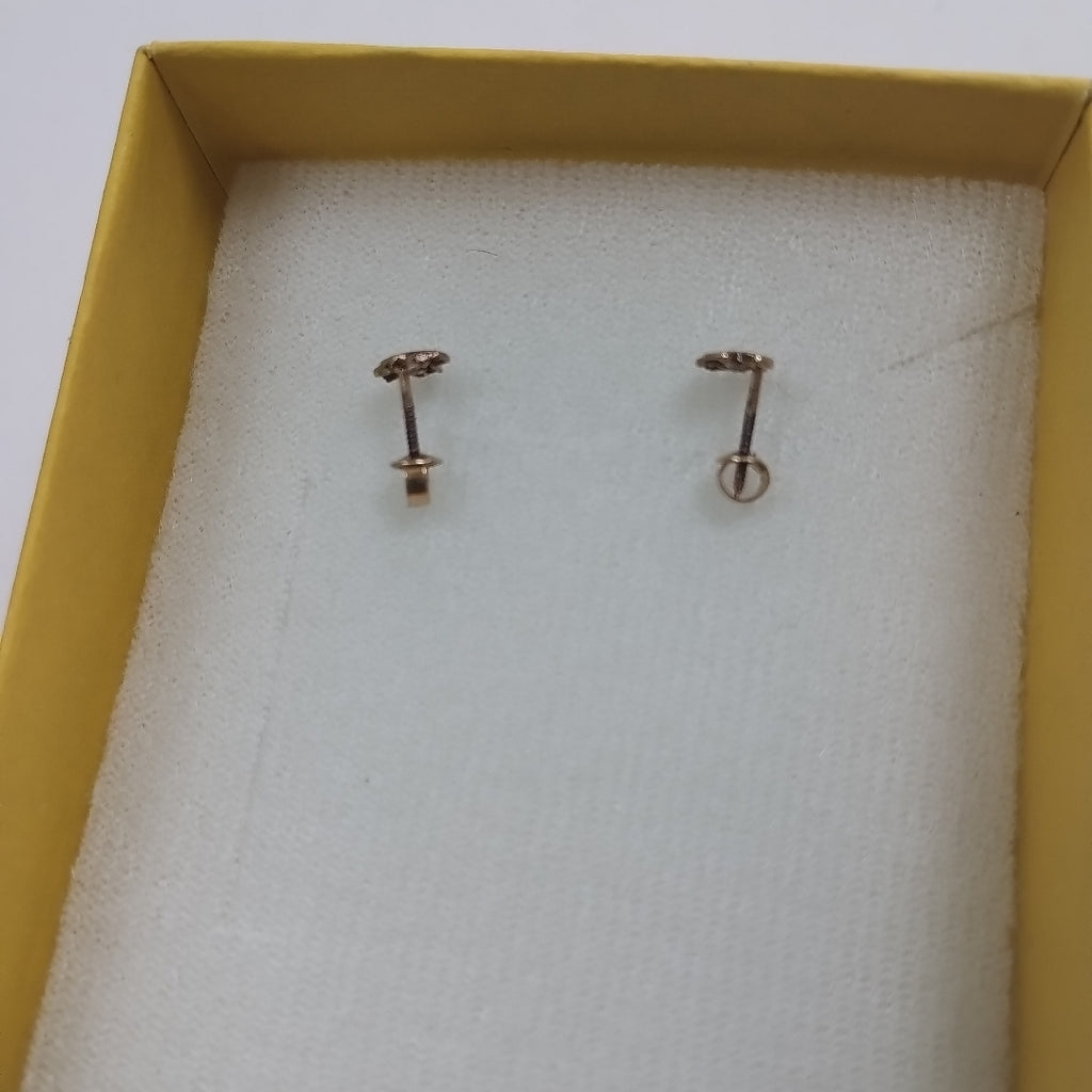 BROQUELES PAR ORO 10 K 0,30 GRMS (SEMINUEVO)