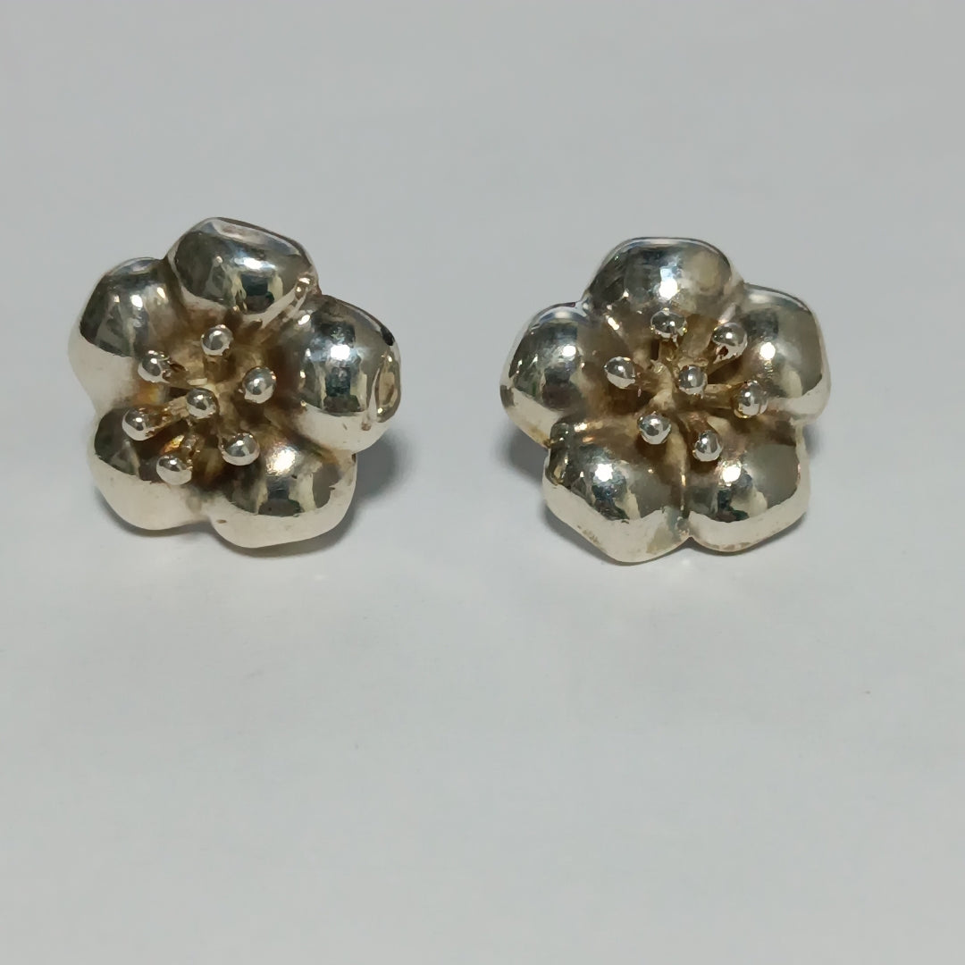 ARETES PAR PLATA 11.8 GRMS (SEMINUEVO)