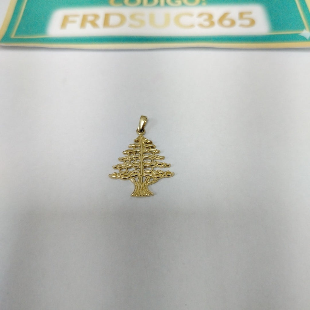 DIJES ORO 14K 2.1 (NUEVO)