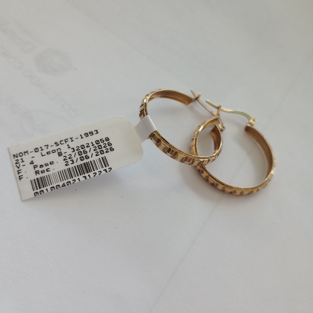 ARRACADAS PAR ORO 10 K 2 GRMS (SEMINUEVO)