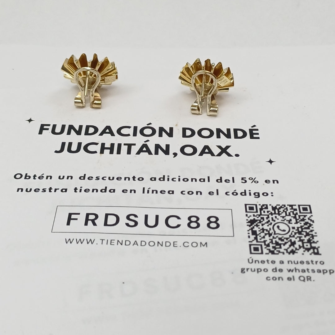 ARETES PAR ORO 14 K 5.3 GRMS (SEMINUEVO)
