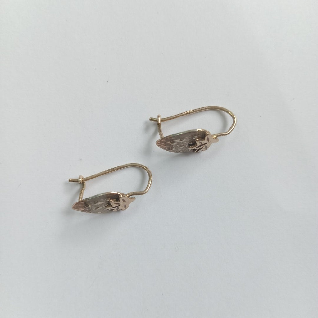 ARETES PAR ORO 10 K 1,80 GRMS (SEMINUEVO)