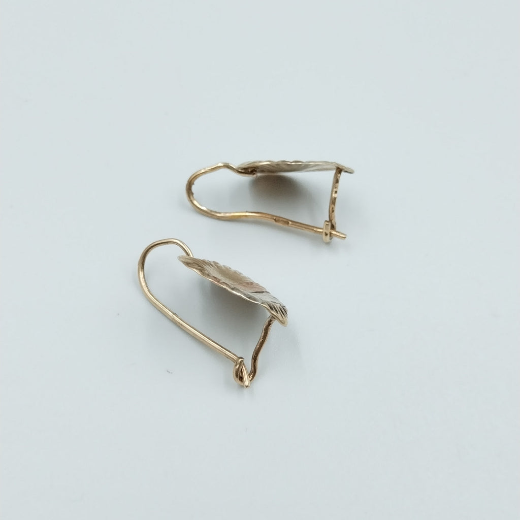 ARETES PAR ORO 10 K 1,90 GRMS (SEMINUEVO)