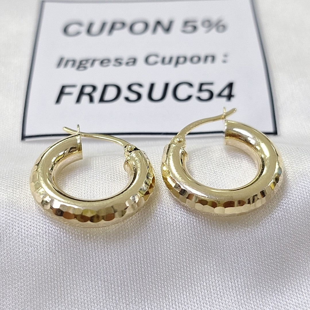 ARRACADAS ORO 14K 2 (NUEVO)