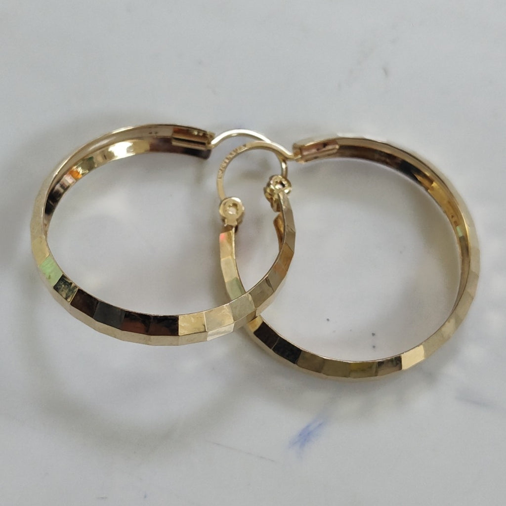 ARRACADAS PAR ORO 10 K 2.8 GRMS (SEMINUEVO)