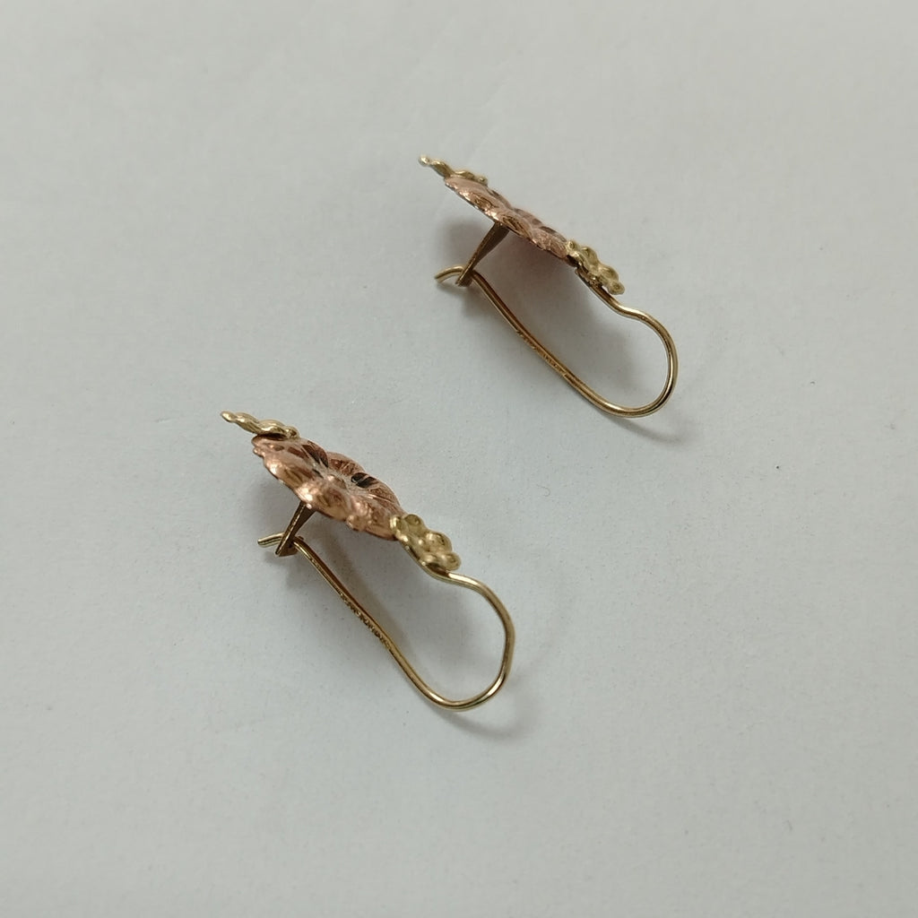 ARETES PAR ORO 10 K 1.6 GRMS (SEMINUEVO)