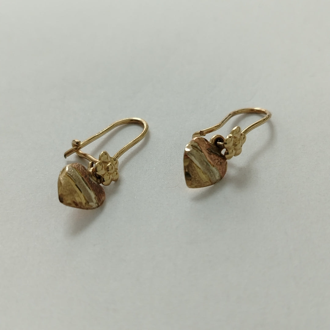 ARETES PAR ORO 10 K 1.1 GRMS (SEMINUEVO)