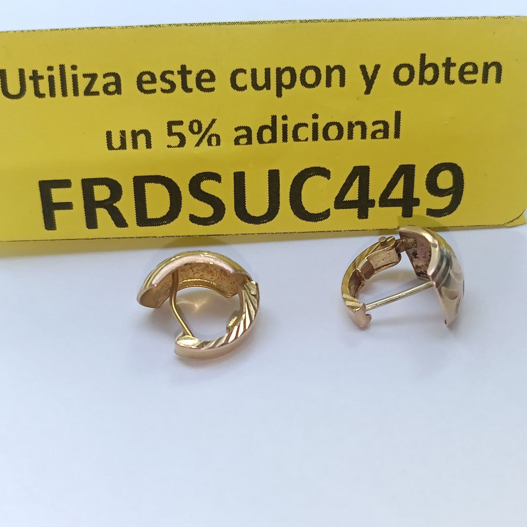 ARETES PAR ORO 10 K 2.7 GRMS (SEMINUEVO)
