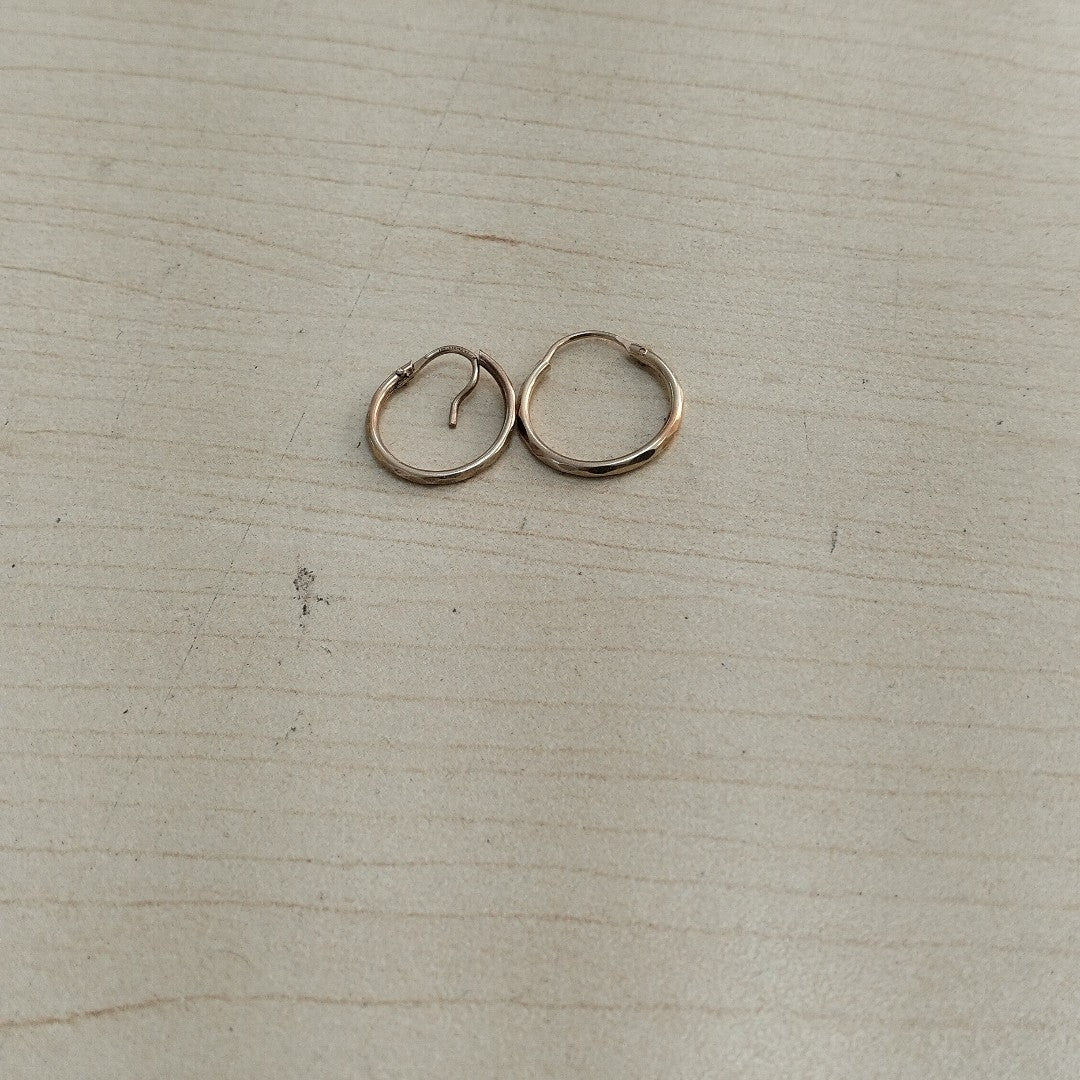 ARRACADAS PAR ORO 10 K 0.9 GRMS (SEMINUEVO)