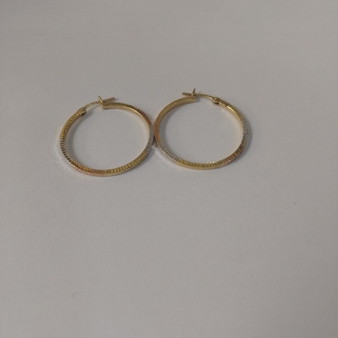 ARRACADAS PAR ORO 10 K 1.7 GRMS (SEMINUEVO)