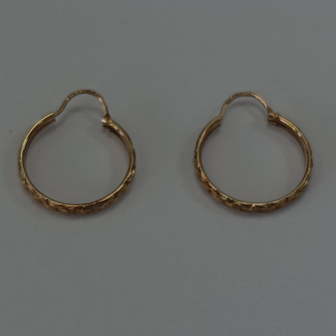 ARETES PAR ORO 10 K 1.4 GRMS (SEMINUEVO)