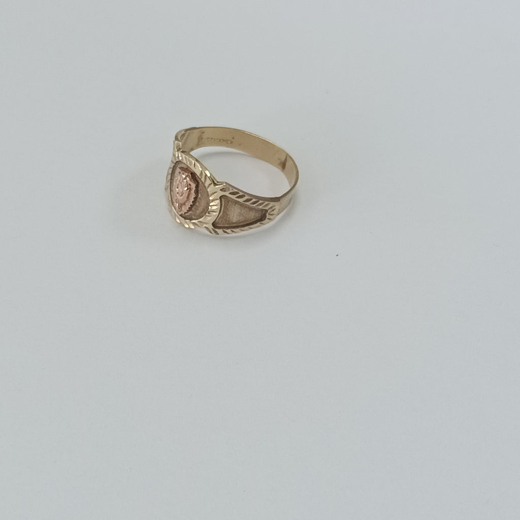 ANILLO ORO 10 K 2.9 GRMS (SEMINUEVO)