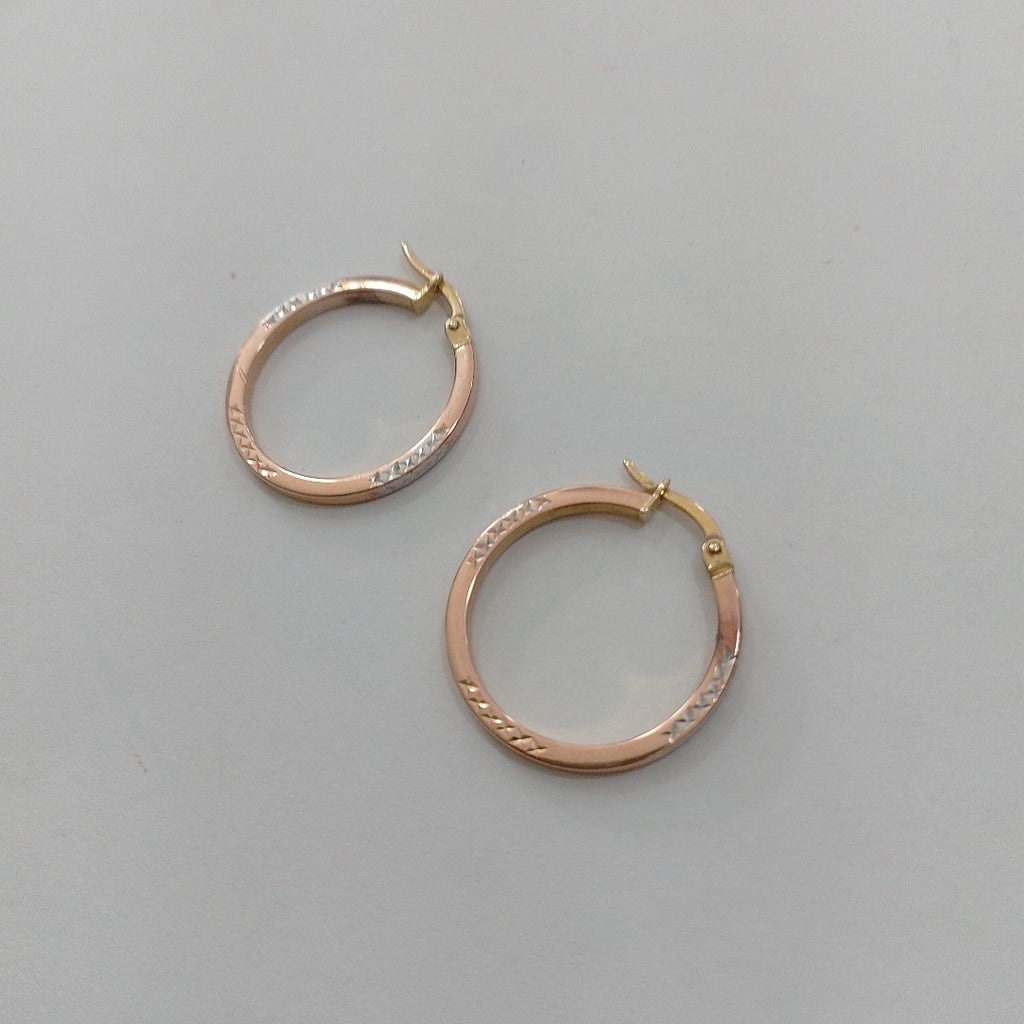 ARRACADAS PAR ORO 10 K 1,80 GRMS (SEMINUEVO)