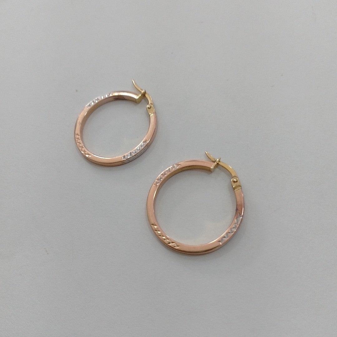 ARRACADAS PAR ORO 10 K 1,80 GRMS (SEMINUEVO)
