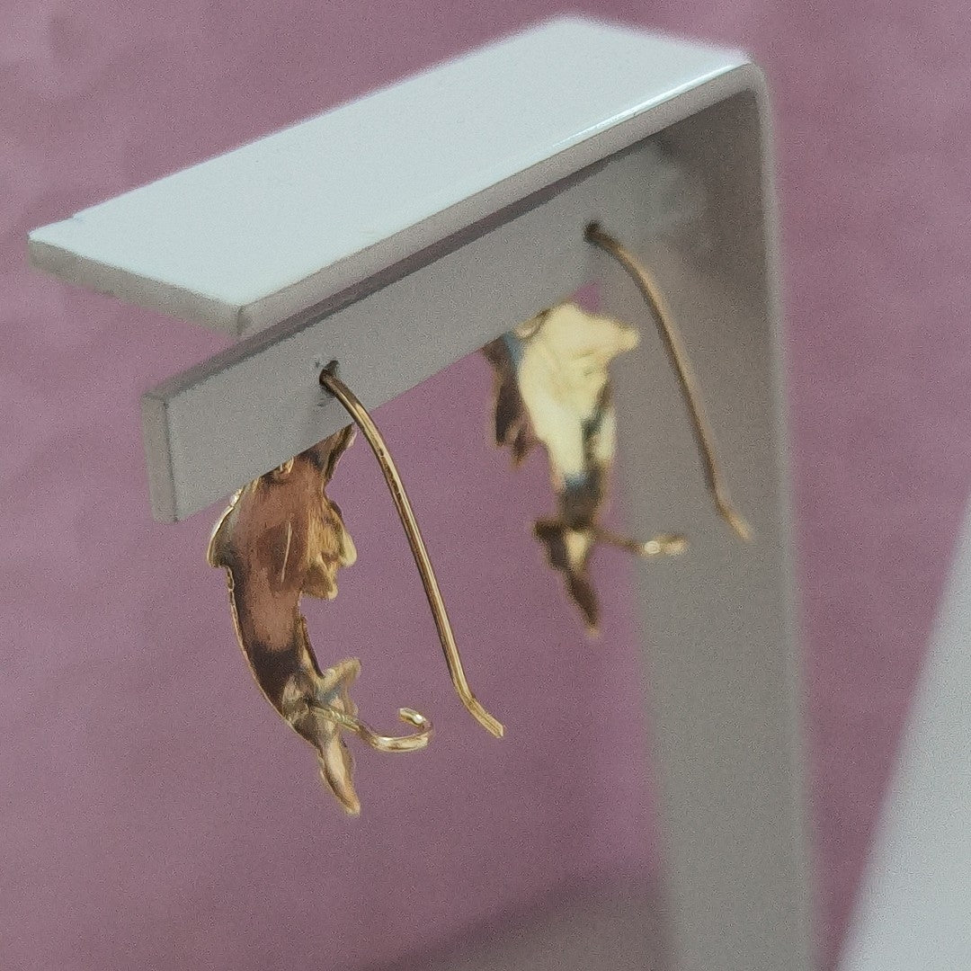 ARETES PAR ORO 10 K 1,10 GRMS (SEMINUEVO)