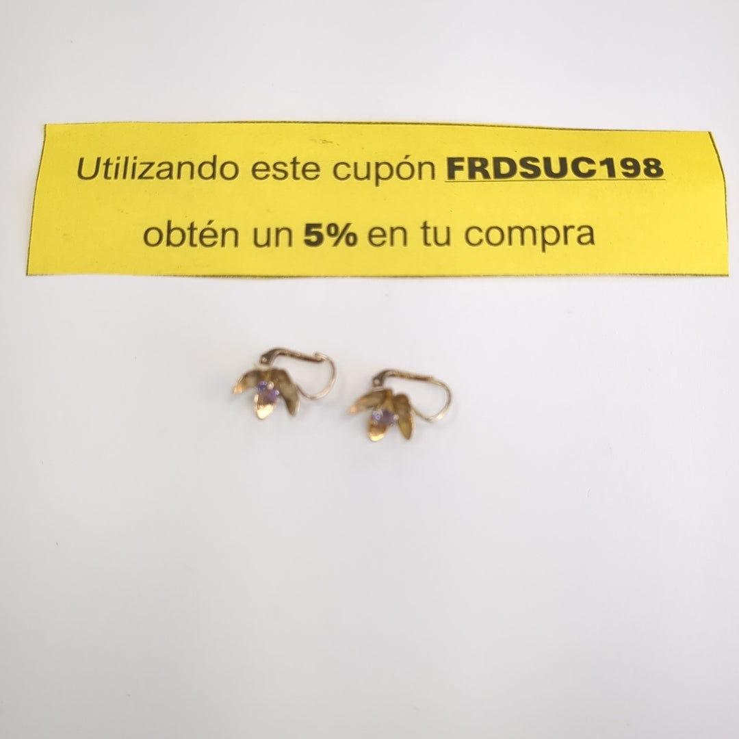 ARETES PAR ORO 10 K 1,60 GRMS (SEMINUEVO)