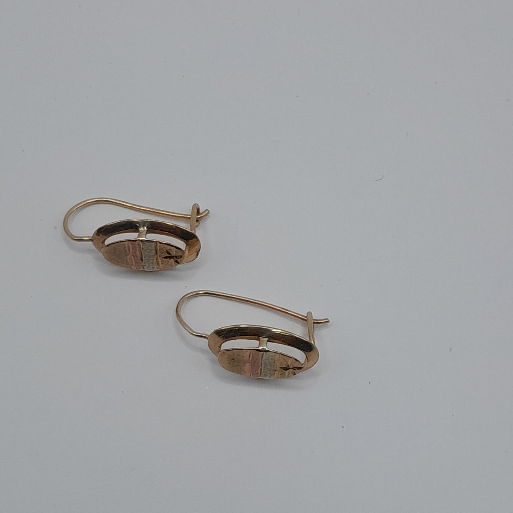 ARETES PAR ORO 10 K 1.4 GRMS (SEMINUEVO)