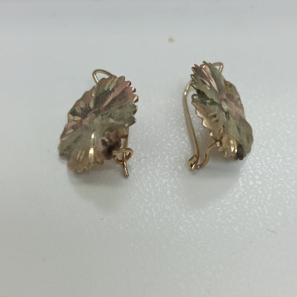 ARETES PAR ORO 10 K 1.5 GRMS (SEMINUEVO)