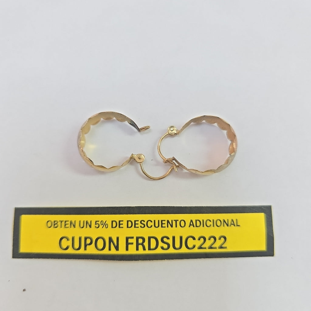 ARRACADAS PAR ORO 10 K 2.1 GRMS (SEMINUEVO)