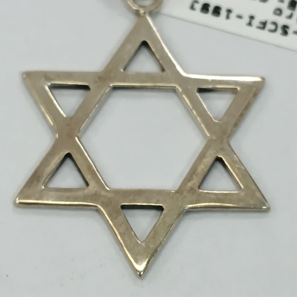 CADENA, DIJE PLATA 4 GRMS (SEMINUEVO)