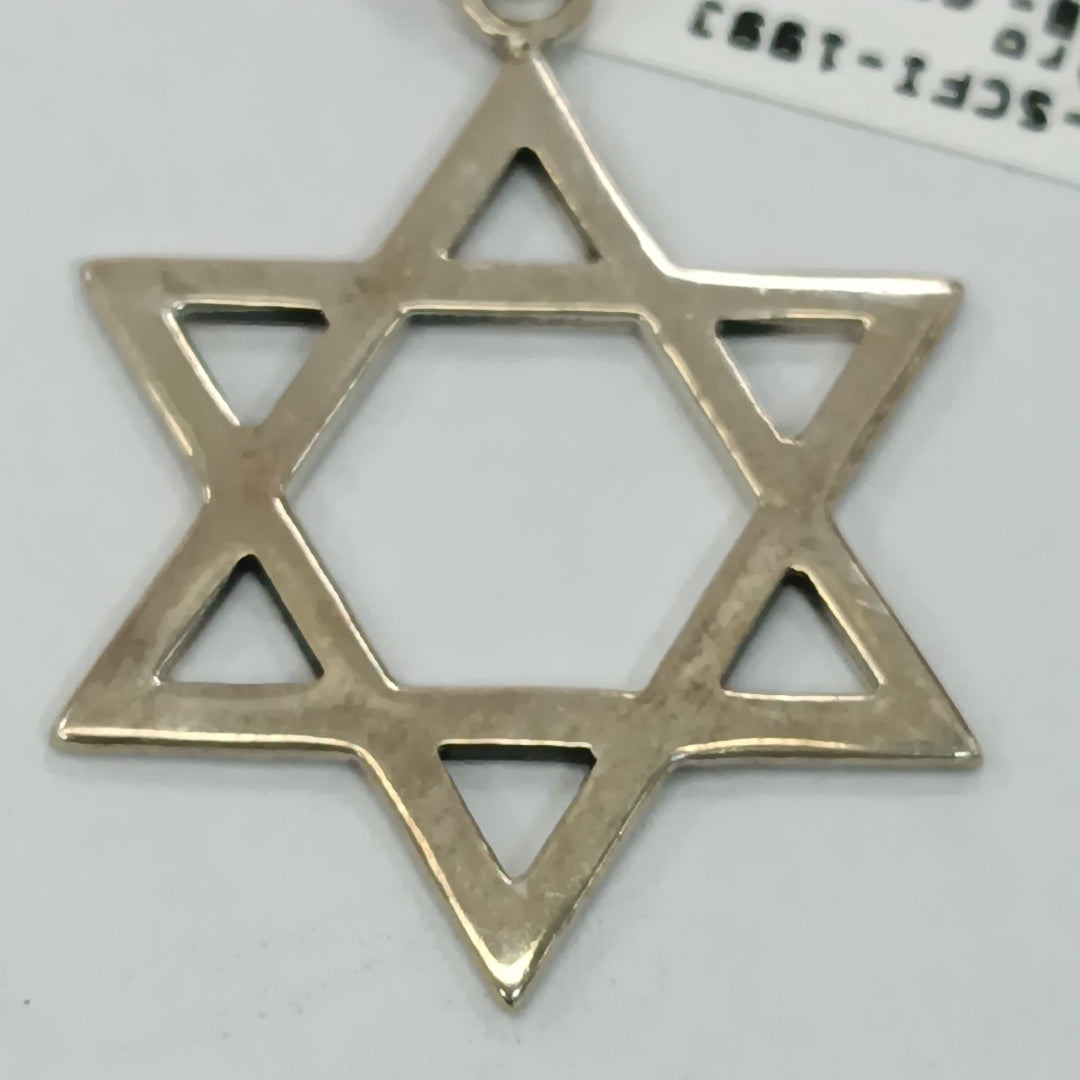 CADENA, DIJE PLATA 4 GRMS (SEMINUEVO)