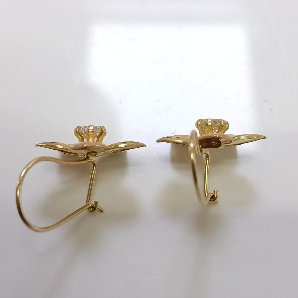 ARETES PAR ORO, ORO COMBINADO 10 K 1.7 GRMS (SEMINUEVO)