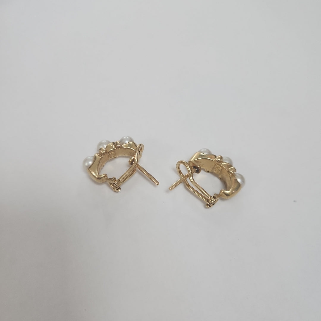 ARETES PAR ORO 14 K 9.8 GRMS (SEMINUEVO)